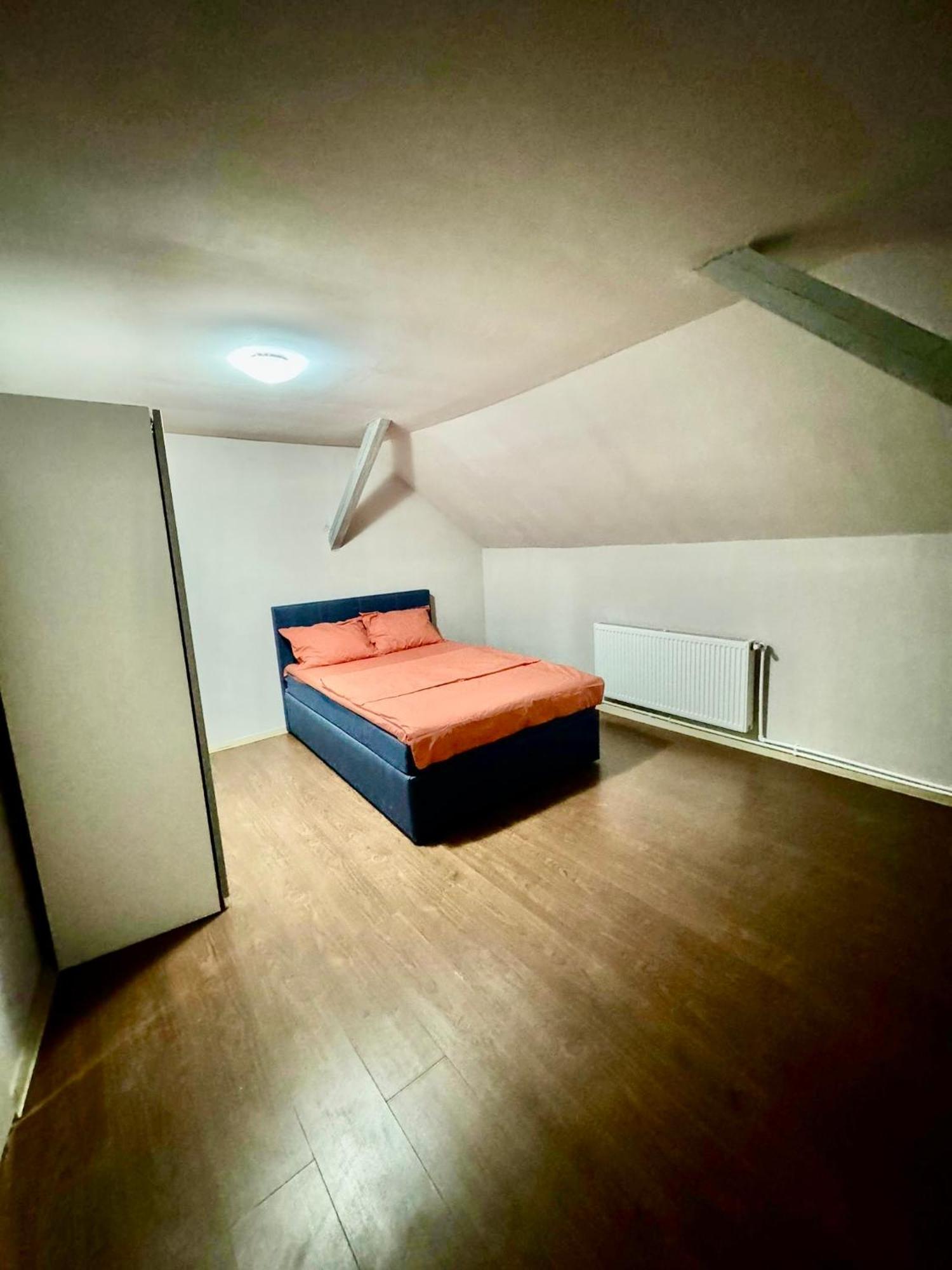 Serbian House Temešvár Exteriér fotografie